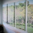 Mural Work