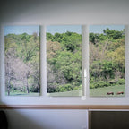 Mural Work