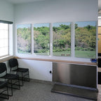 Mural Work